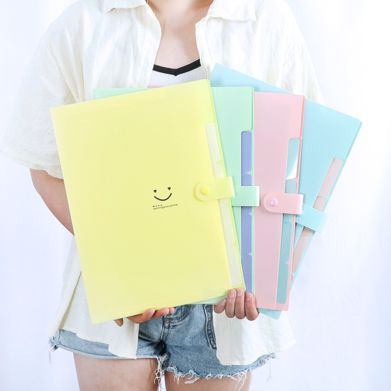 Document Organizer Folder - Koreański organizer na dokumenty A4 z