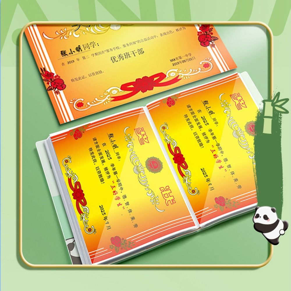 Teczka na dokumenty A4 z 30/40 – Document Organizer Folder recenzja i cena